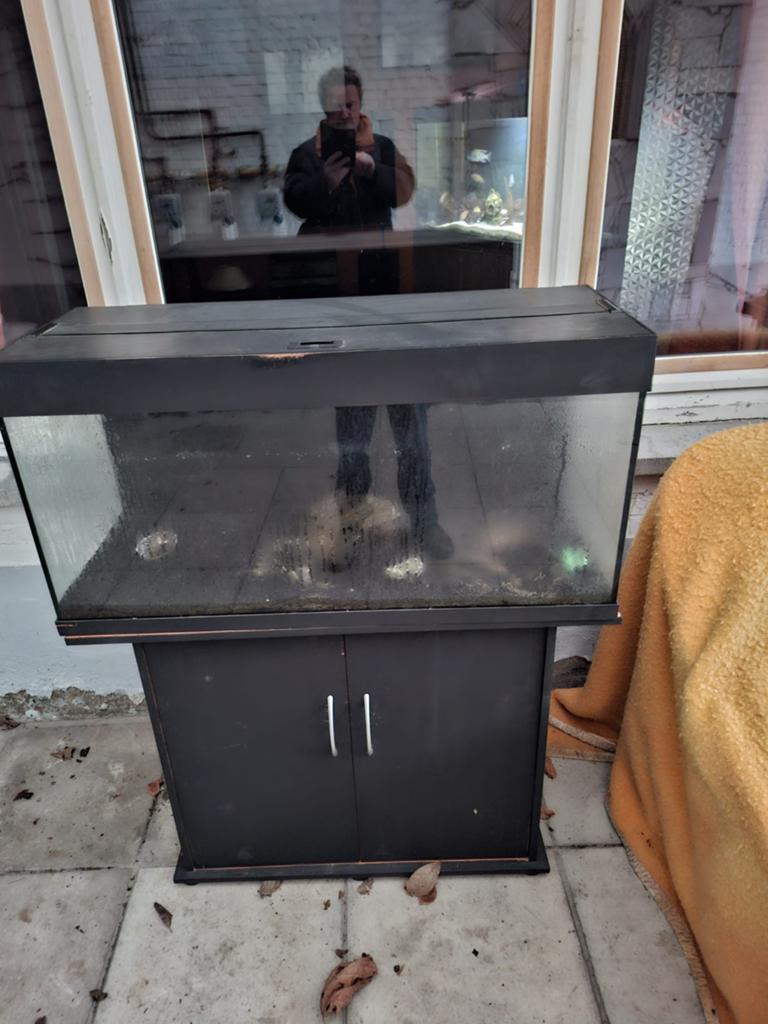 Aquarium de koopAquaruim te koop lente 1 meter lang brede 50, Poissons inclus, Aquatlantis, Aquarium vide, Comme neuf
