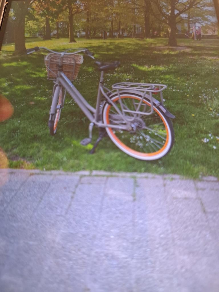 Gazelle Moonrock ZGA nouveau, Enlèvement ou Envoi, Gazelle