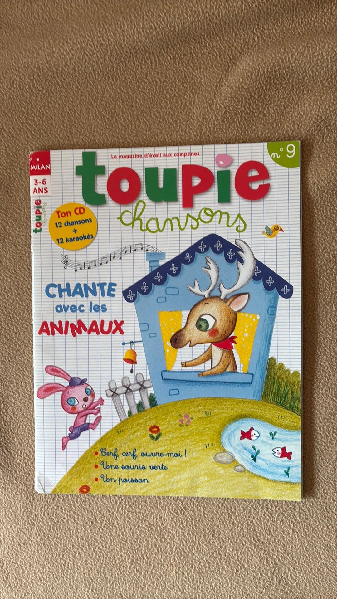 Toupie 9, Livres, Enlèvement, Comme neuf