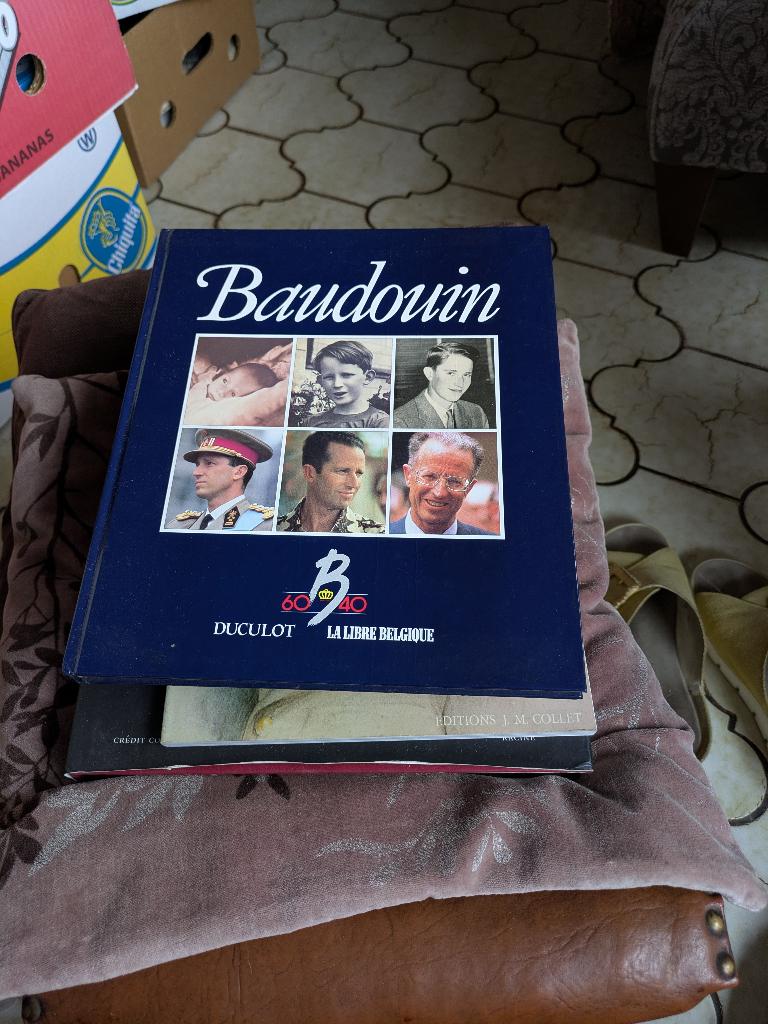 Baudouin, Collections, Enlèvement ou Envoi, Comme neuf, Magazine ou livre
