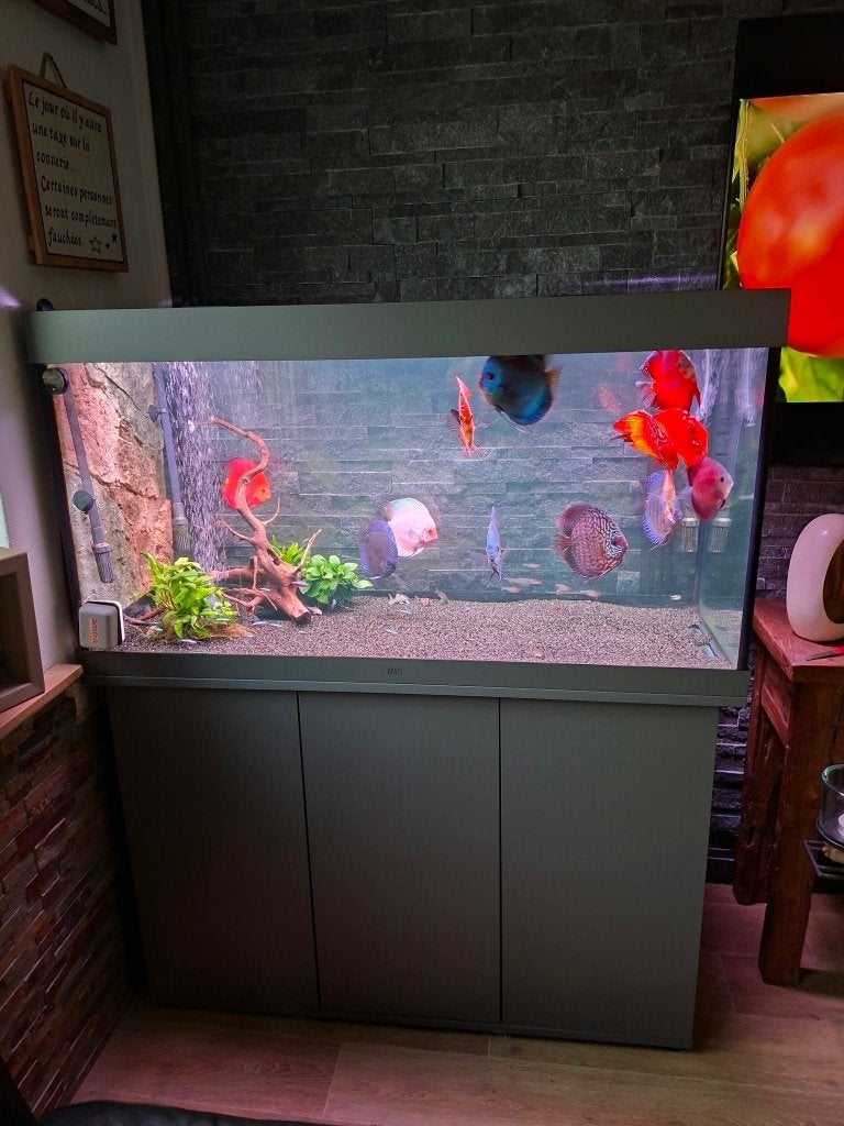 Aquarium, Enlèvement, Chauffage, Utilisé, Juwel