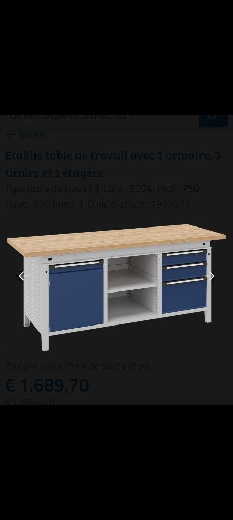 Établi professionnel, Doe-het-zelf en Bouw, Ophalen, Gebruikt