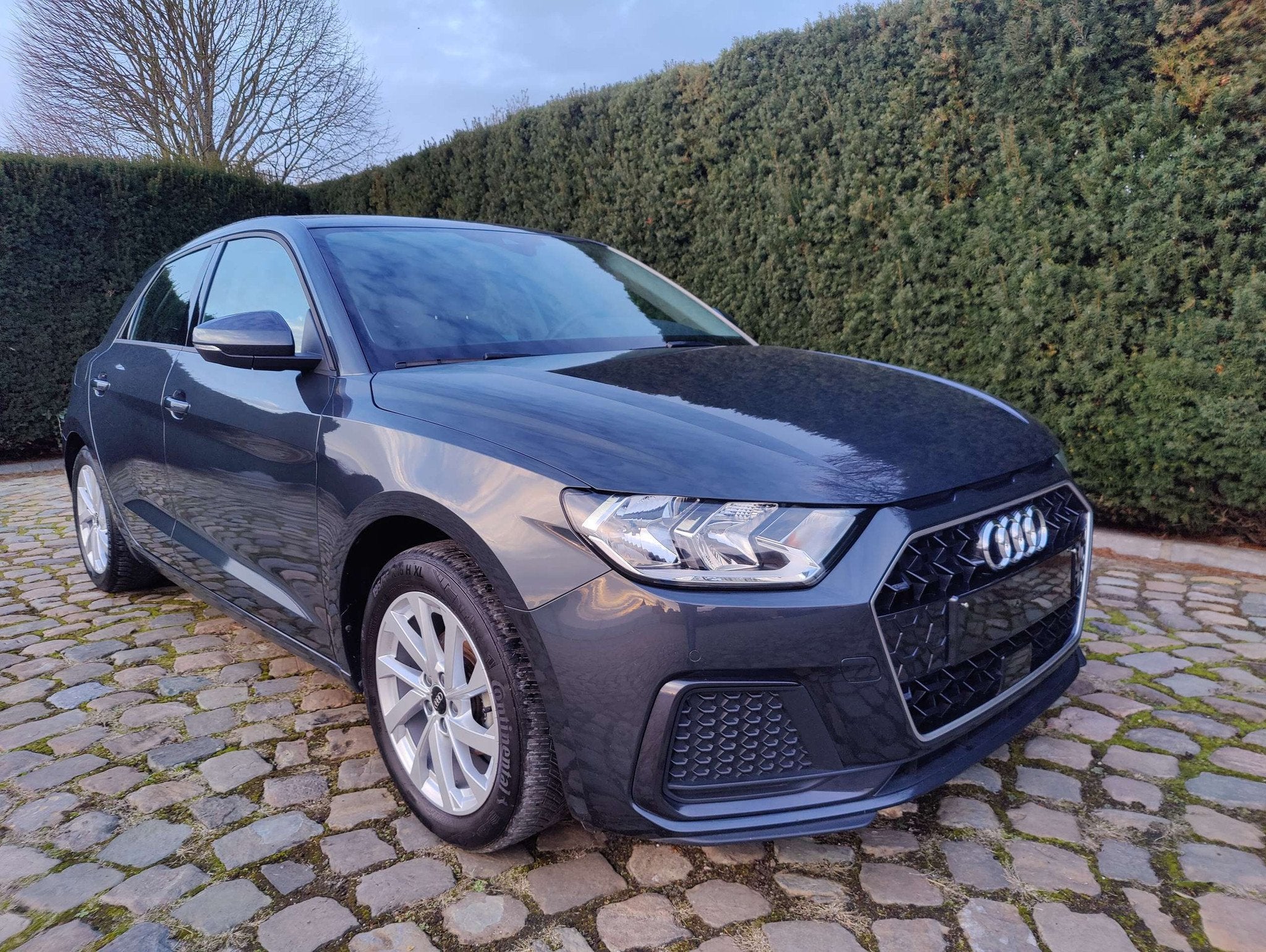 Audi A1 A1 25 TFSI Sportback advanced, Argent ou Gris, Achat, A1, Entreprise
