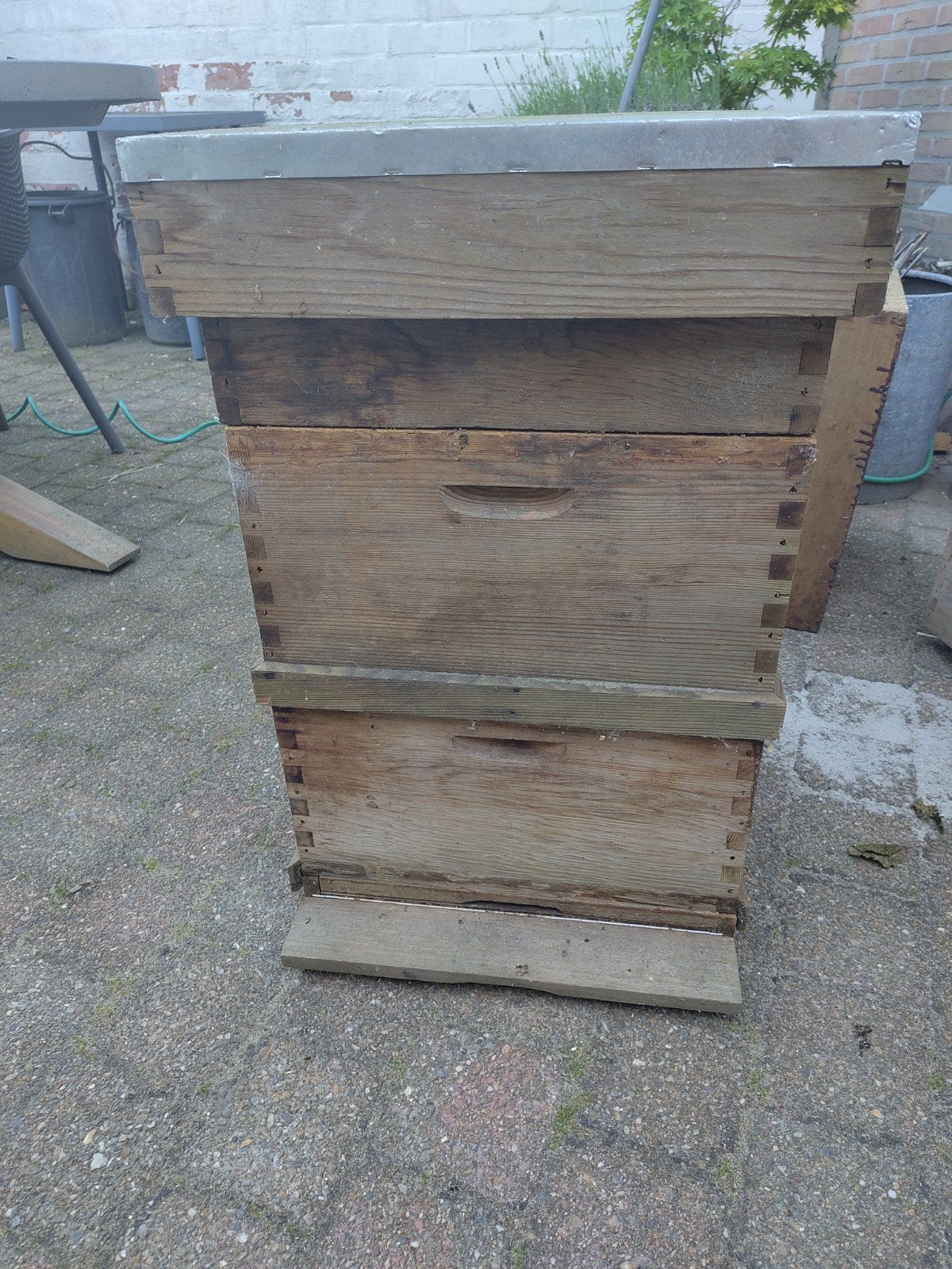 2 red cedar 10 ramers en 6 ramers (Hollandse simplex)