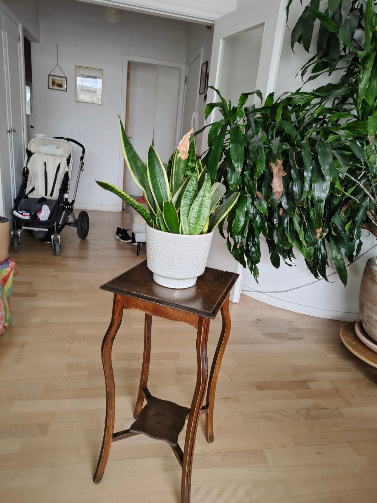 houten plantentafel, Ophalen