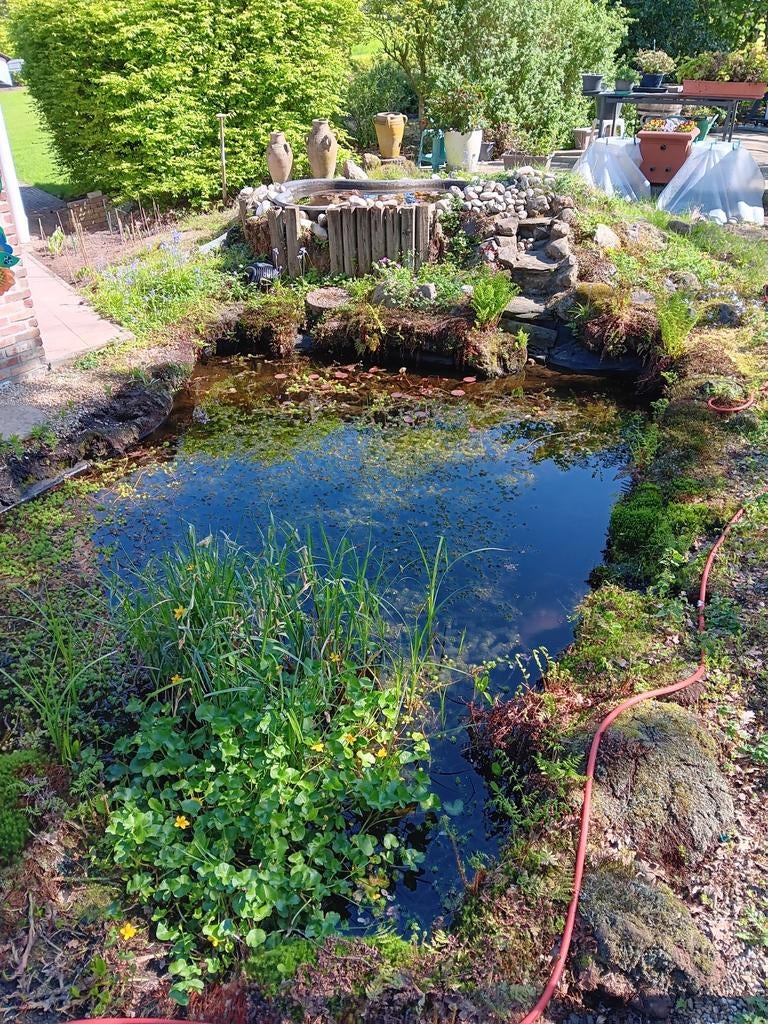 Vijver planten, Ophalen