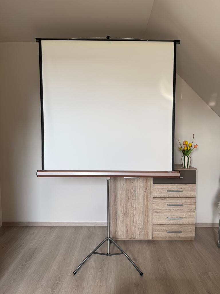 Écran de projection Perlux, Enlèvement, Utilisé