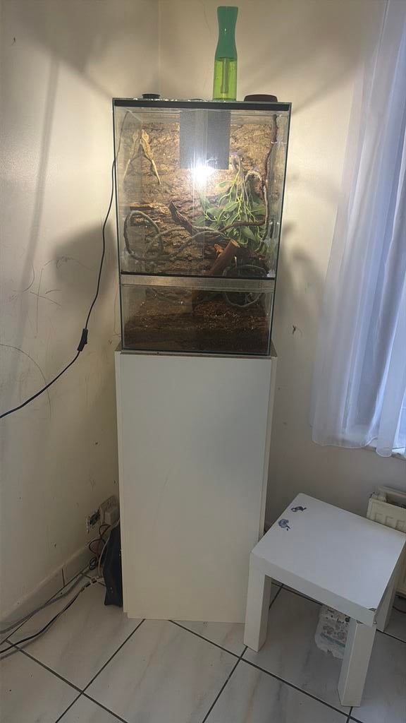 3 Gecko met terrarium, Dieren en Toebehoren, Ophalen, Zo goed als nieuw, Verlichting