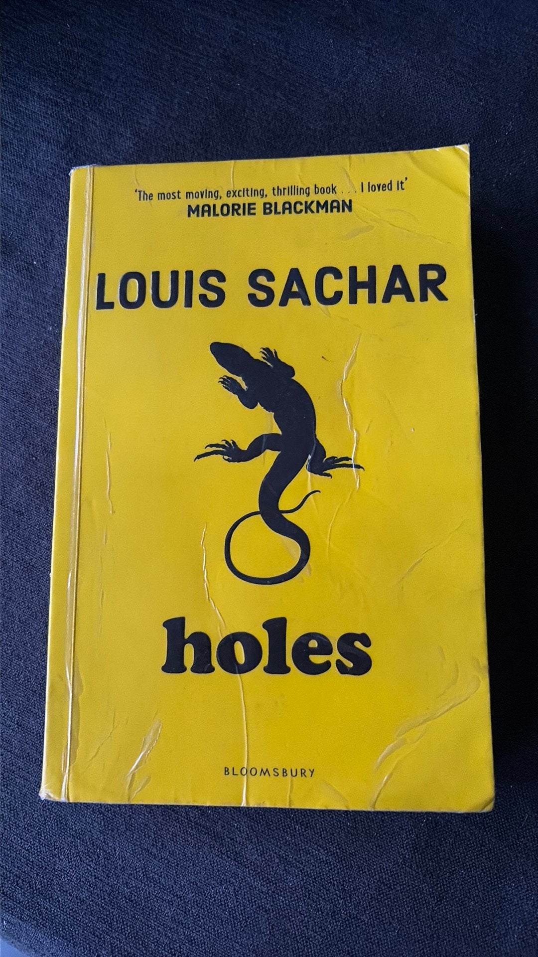 Louis Sachar - Holes, Boeken, Ophalen, Louis Sachar
