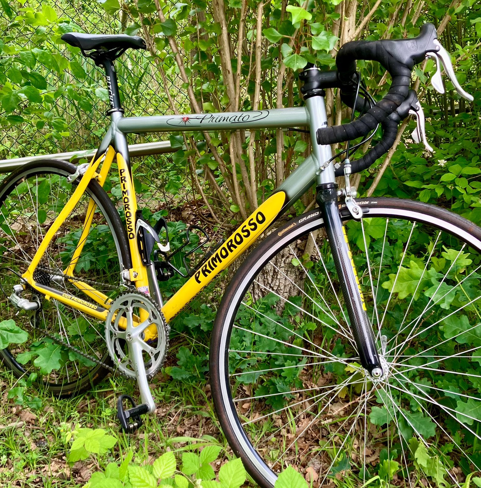 Primato Primorosso Campagnolo, Fietsen en Brommers, Fietsen | Racefietsen, Ophalen, Carbon