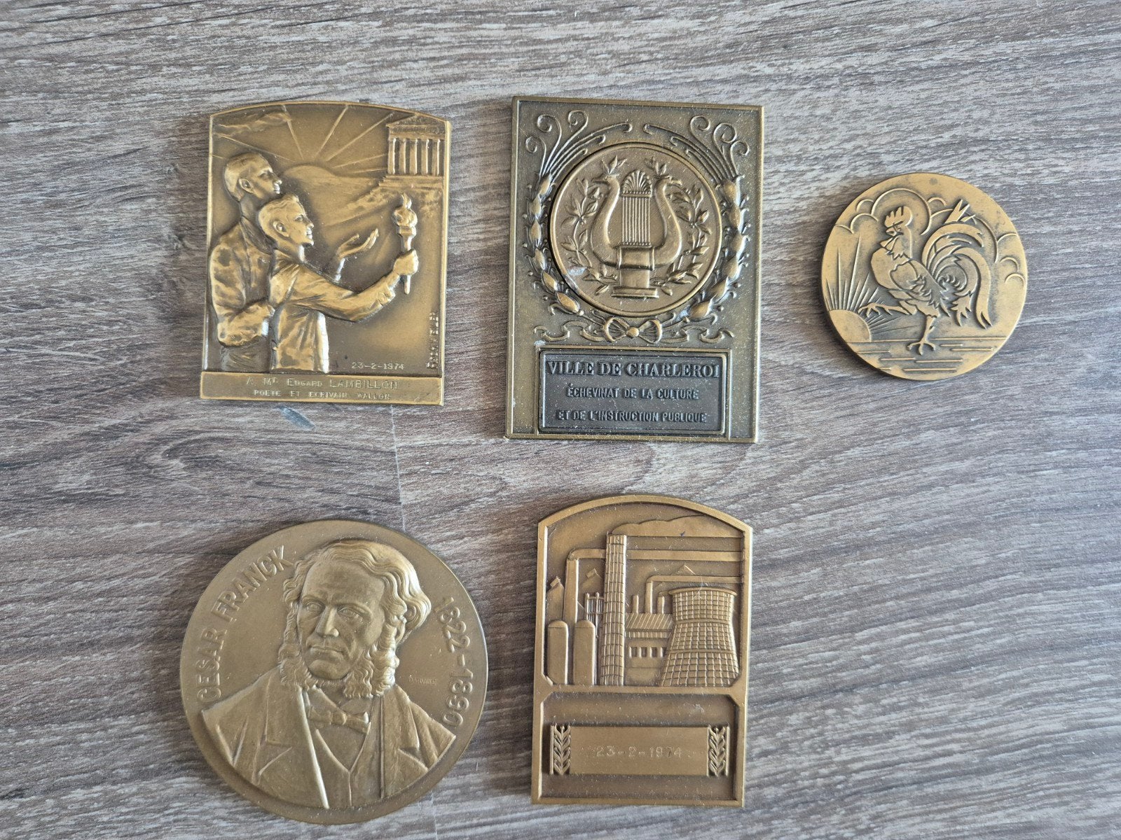 Lot 5 Médailles / Plaquettes Bronze – Darville, Fischweiler,, Enlèvement ou Envoi, Comme neuf, Autres sujets/thèmes, Insigne ou Pin's