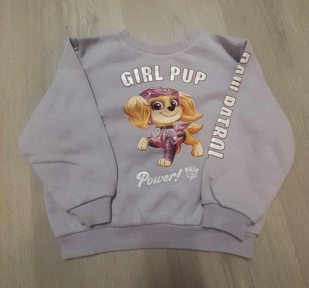 Trui Paw Patrol Skye Maat 98-104, Enfants & Bébés, Vêtements enfant | Taille 98, Enlèvement, Fille, Pull ou Veste