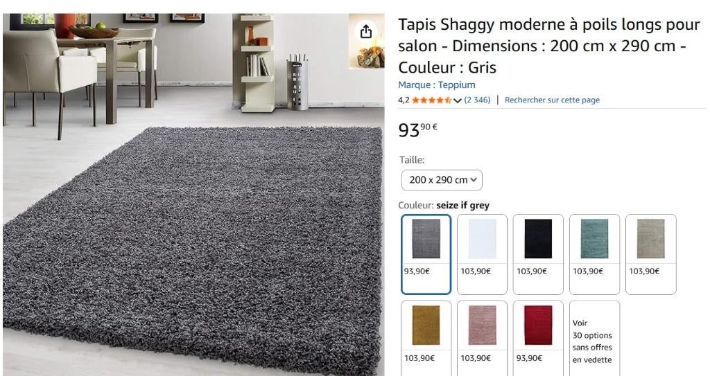 Tapis à poils longs - Anthracite, 200 cm ou plus, Gris, 200 cm ou plus, Enlèvement