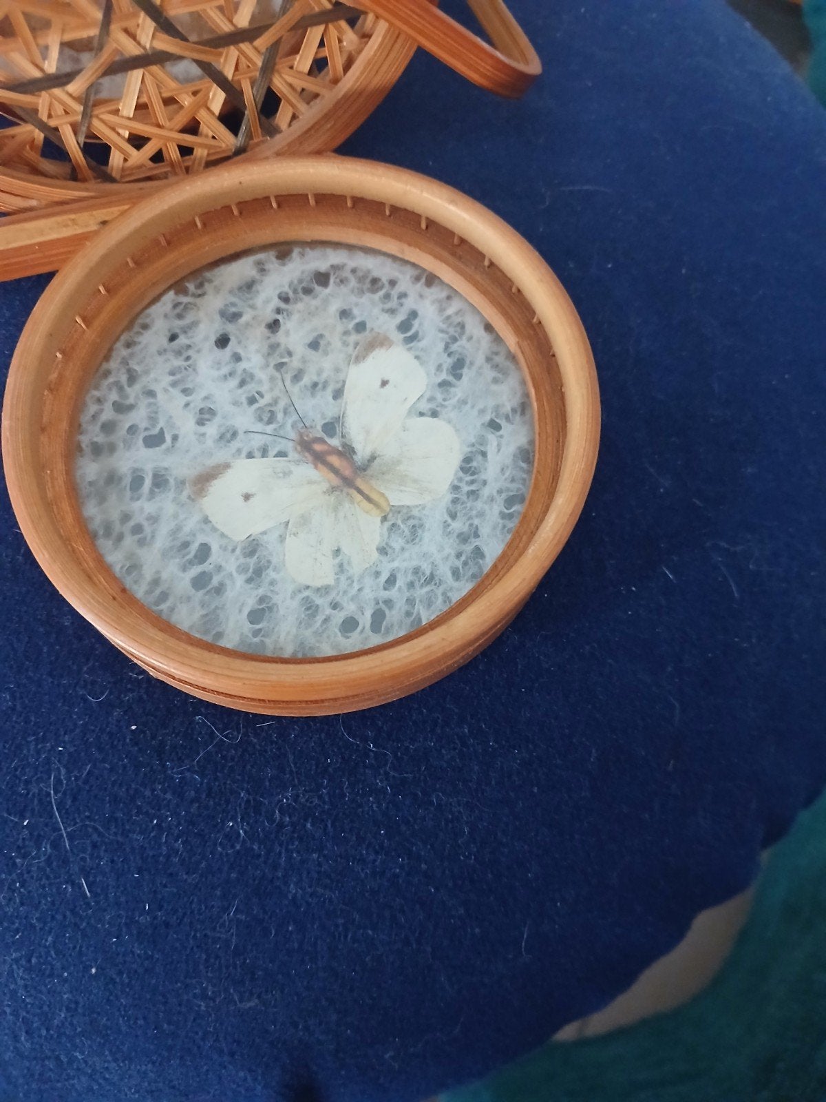 Serie de 7 sous coupes verres bois papillons, Enlèvement