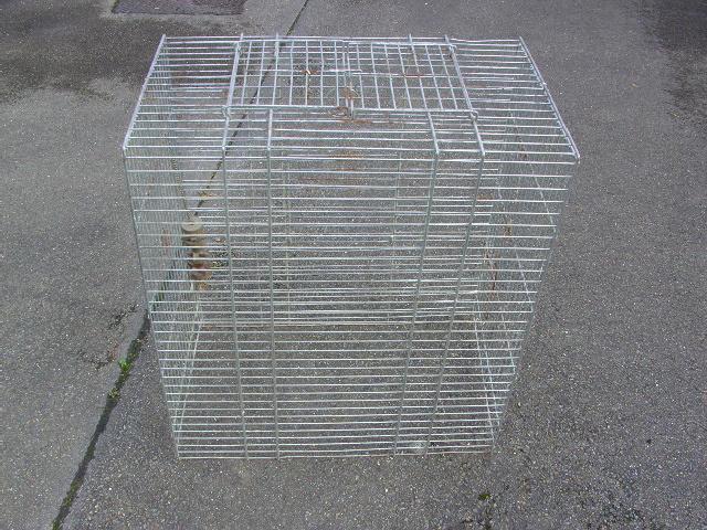 Cage solide perroquet ou autres animaux Adam D, Ophalen, Gebruikt, Metaal