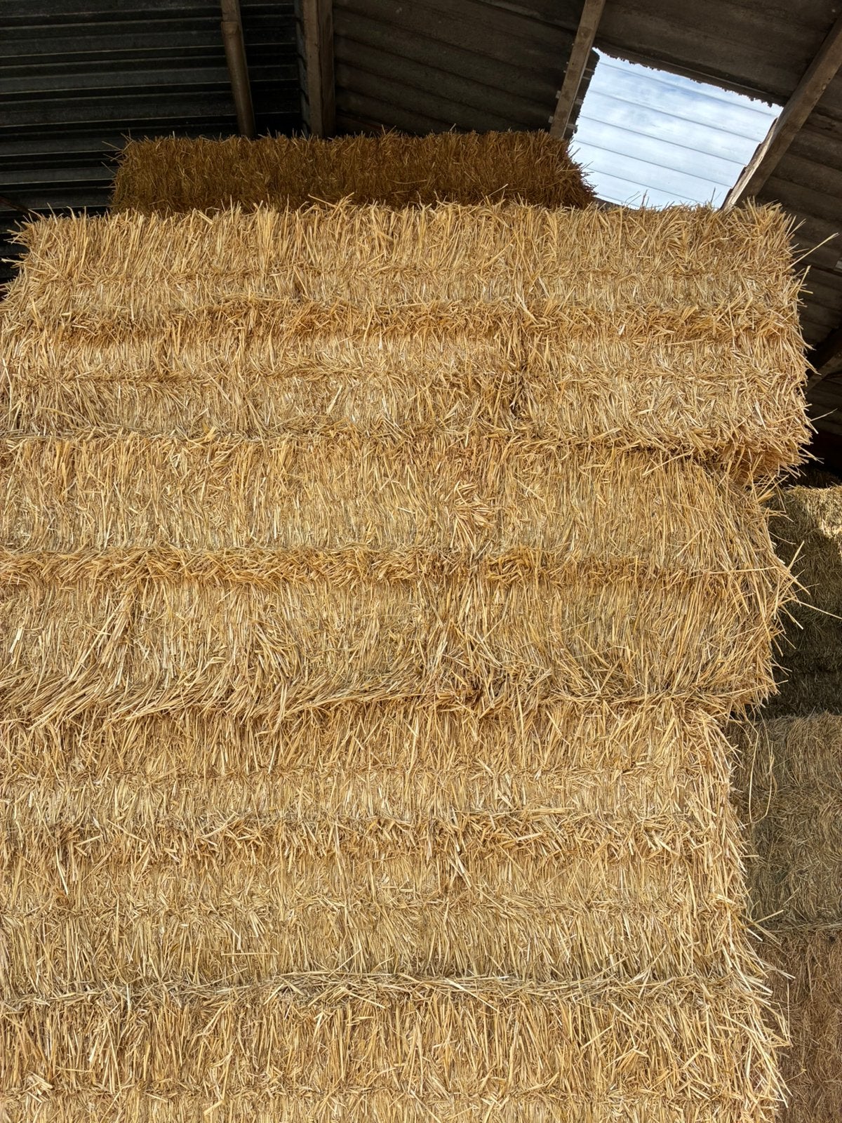 Straw à vendre, Articles professionnels, Agriculture | Aliments pour bétail, Enlèvement
