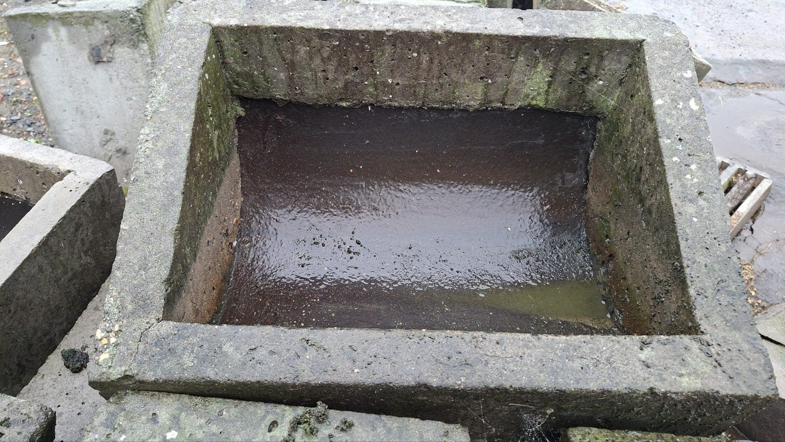 betonnen voederbak, Dieren en Toebehoren