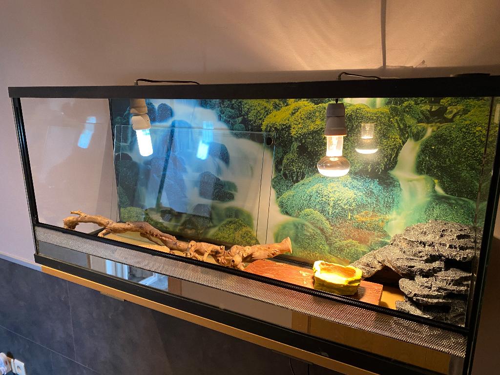 Terrarium, Dieren en Toebehoren, Ophalen, Gebruikt, Terrarium of Paludarium