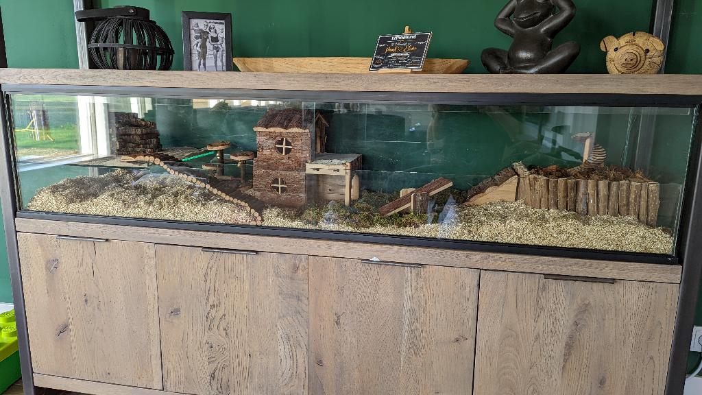 Glazen hamsterkooi maatwerk met schuifruiten, Minder dan 60 cm, 110 cm of meer, Nieuw, Ophalen of Verzenden