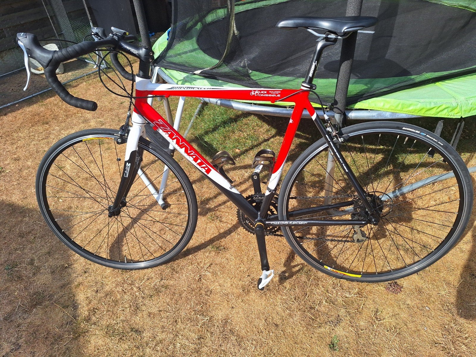 racefiets, Fietsen en Brommers, Ophalen