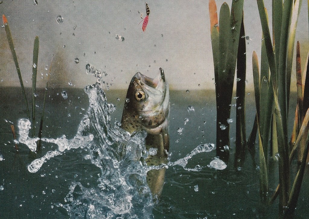 FOREL, Envoi, Non affranchie, Animal aquatique