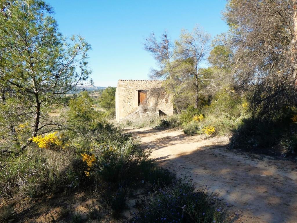 Finca in Batea (Catalogne, Espagne) - 1110, Autres types, Espagne, Campagne