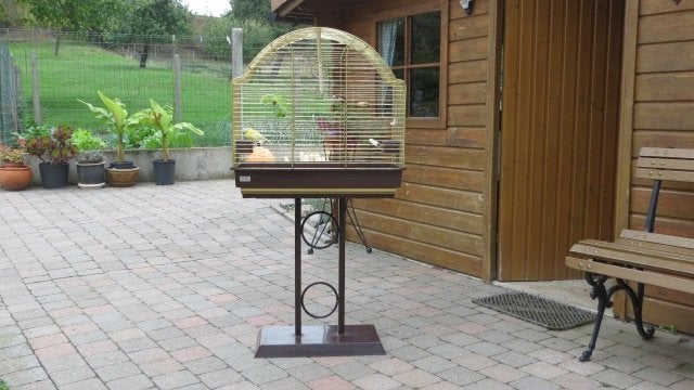 Kanarie met kooi op staander,, Animaux & Accessoires, Enlèvement, Utilisé, Métal, Cage à oiseaux