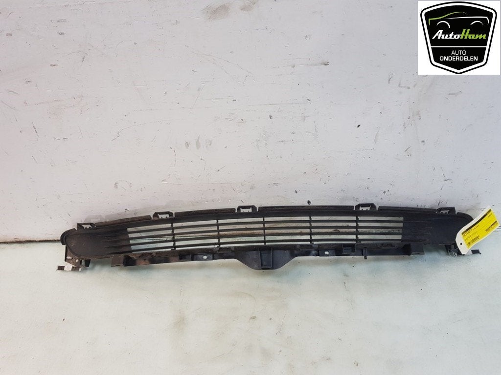 GRILLE DE PARE-CHOCS Model 3 (|108592701D|108592700C|), Dhr. J. Ham, Administratie@autoham.nl, Utilisé, Autres marques automobiles