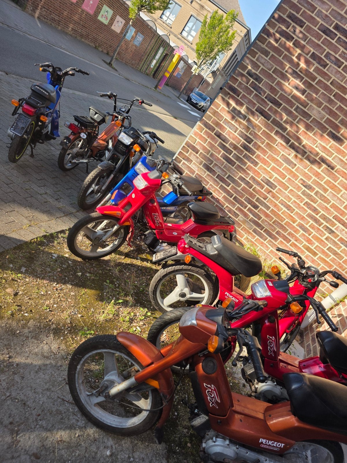 Lot van 8 brommers: 7x Peugeot Fox + 1x Tomos Met papieren