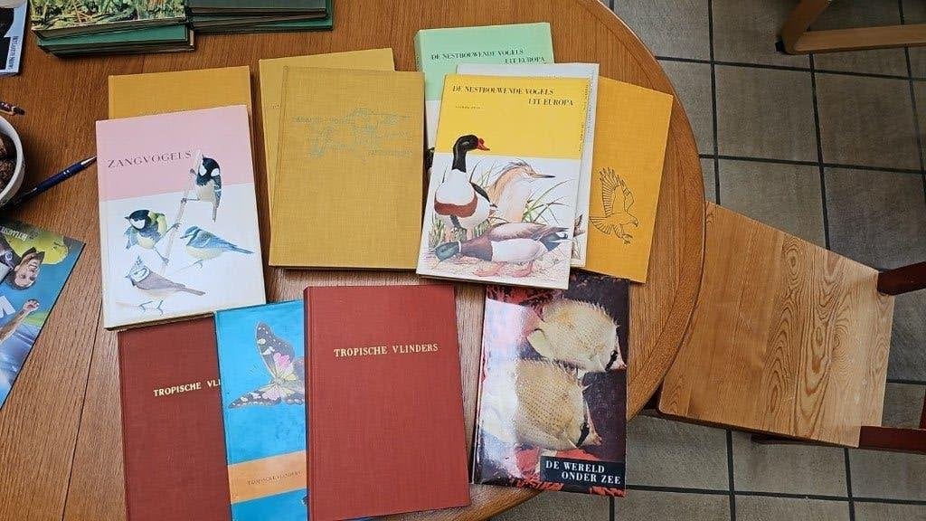 Vinted Artis - Historia boeken uitgaven tussen 1944 en 1968, Enlèvement