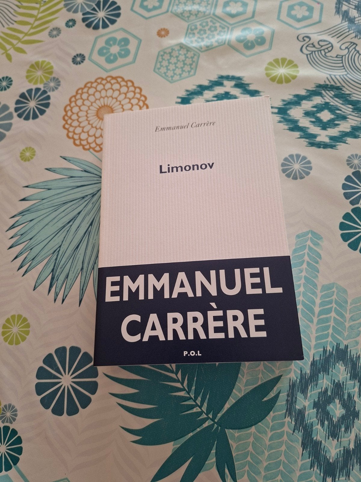 Emmanuel Carrère. Liminov., Enlèvement ou Envoi
