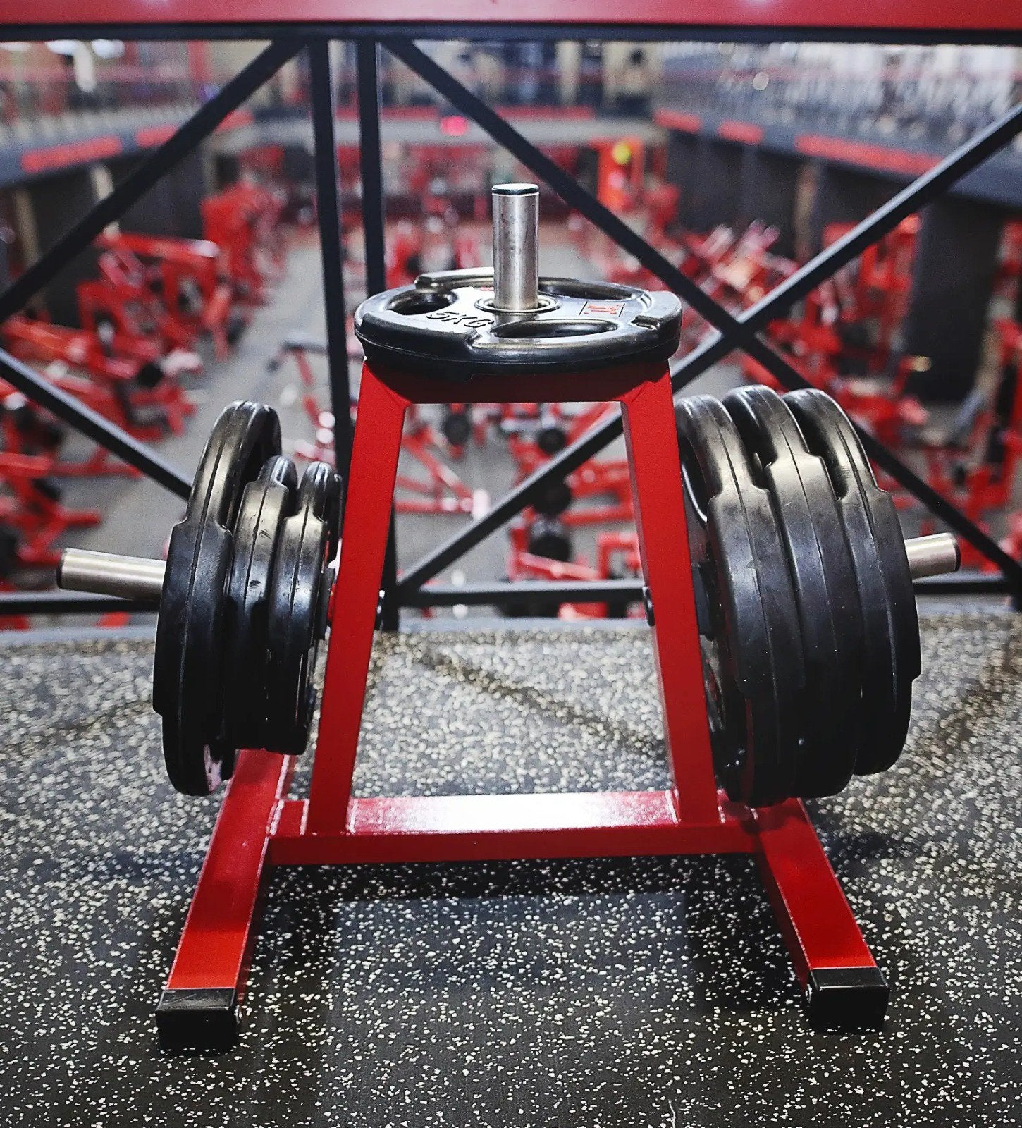 Compact Plate Rack Rangement Disques Musculation GymFactory, Envoi, Neuf, Bras, Plaques d'haltères