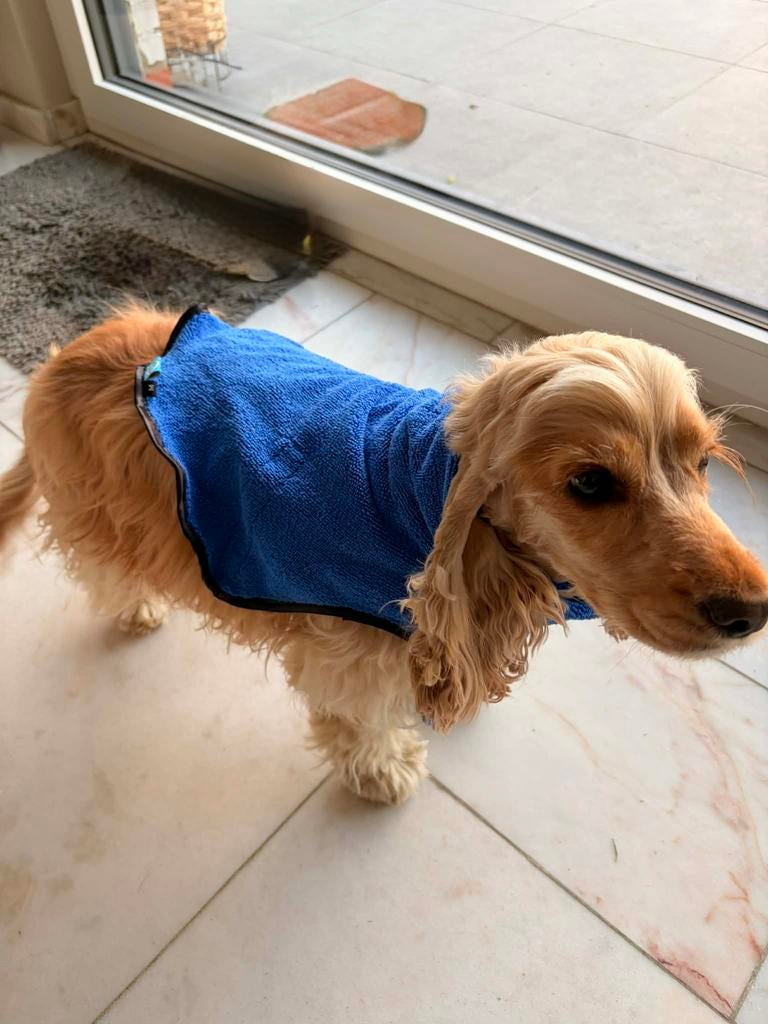 Peignoir de bain pour chien Duvo+, Enlèvement ou Envoi, Comme neuf
