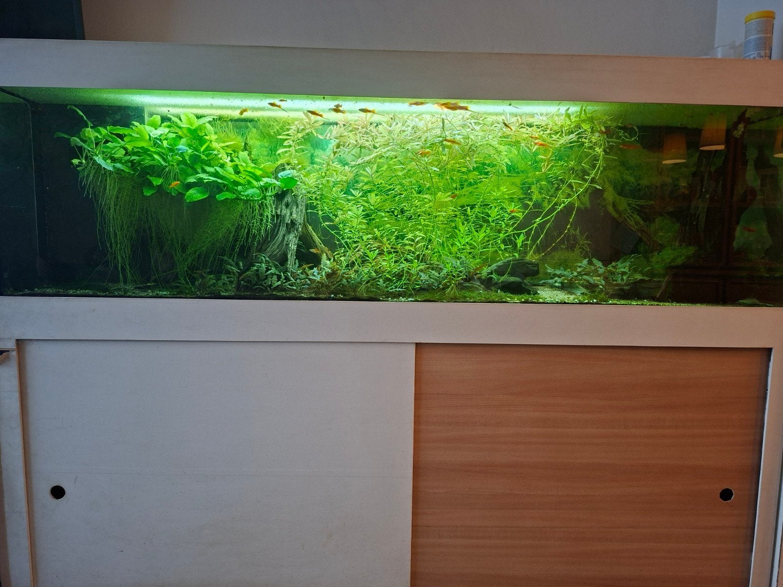 AQUARIUM 180x40x45 (LxBxH), Ophalen, Gebruikt, Overige merken, Gevuld zoetwateraquarium