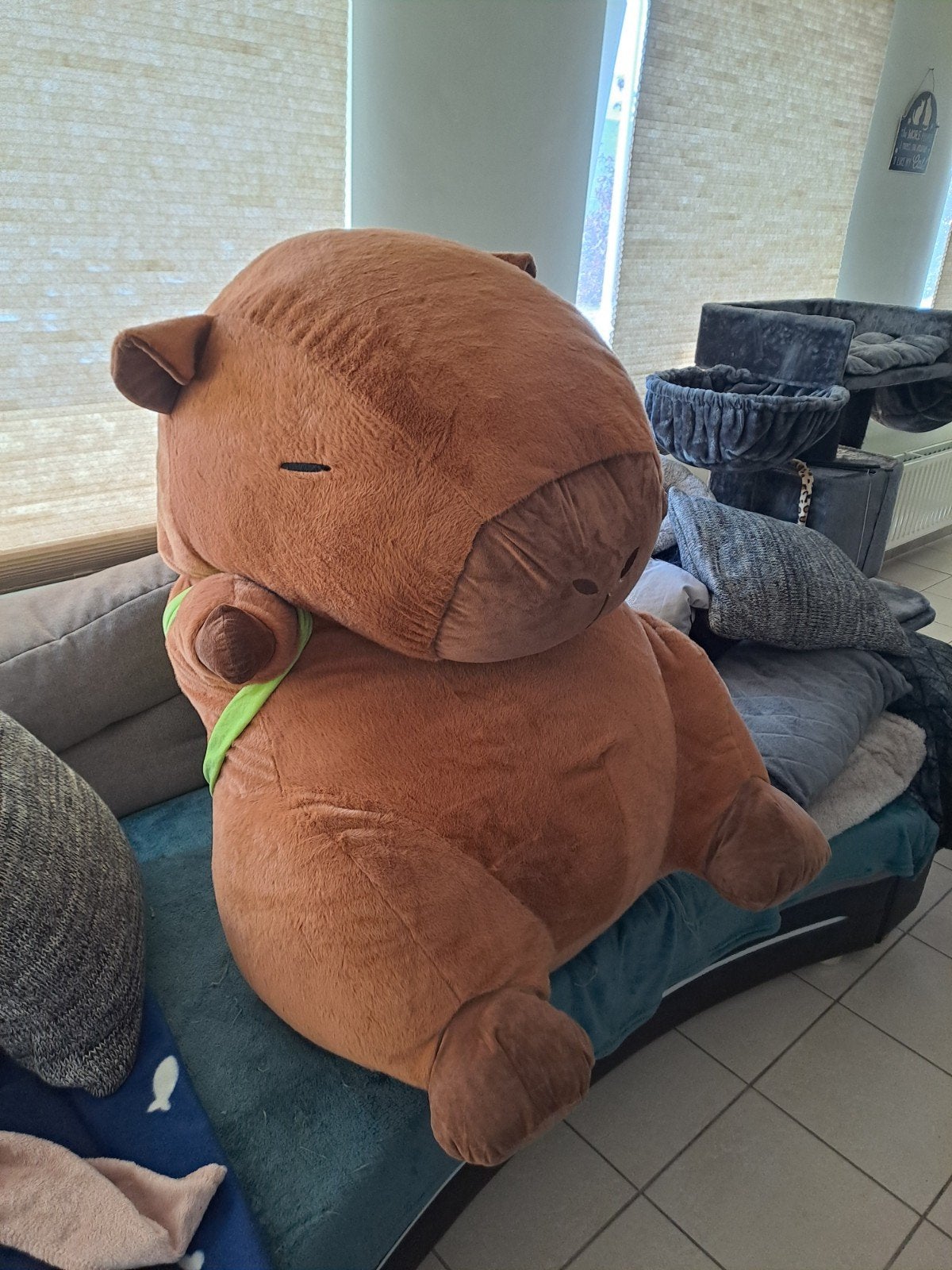 Capybara XXL! en stitch Xl, Ophalen, Disney, Disney, Nieuw