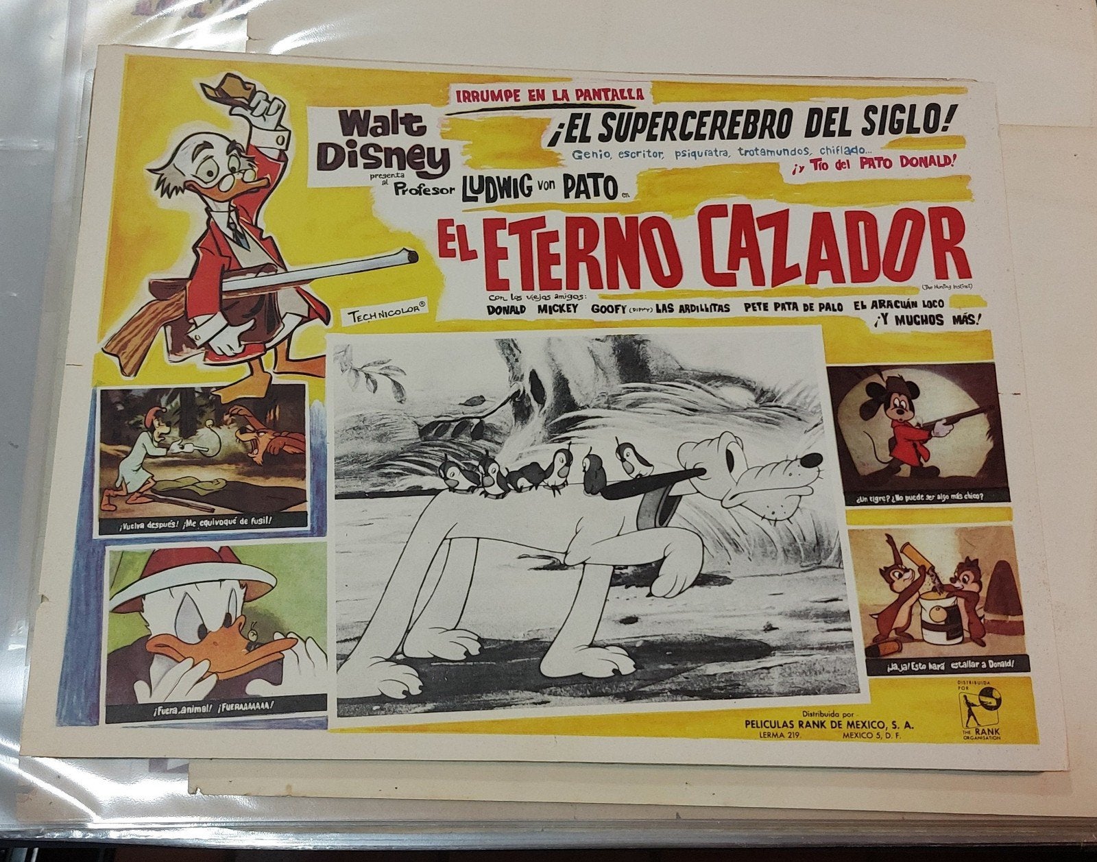 Spaanse lobbykaart Disney 1961, Verzamelen, Ophalen