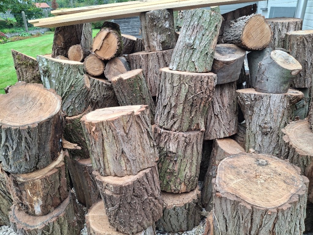 nat brandhout., Tuin en Terras, 6 m³ of meer, Ophalen of Verzenden, Overige houtsoorten, Blokken