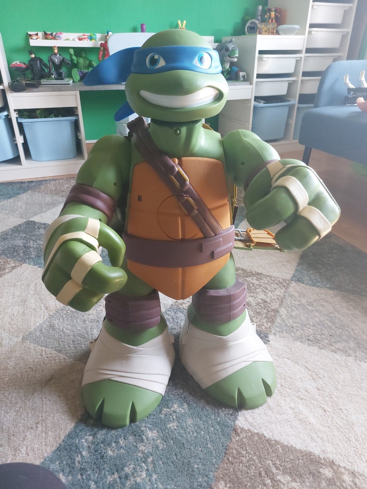 Grote verzameling Ninja turtles, Ophalen