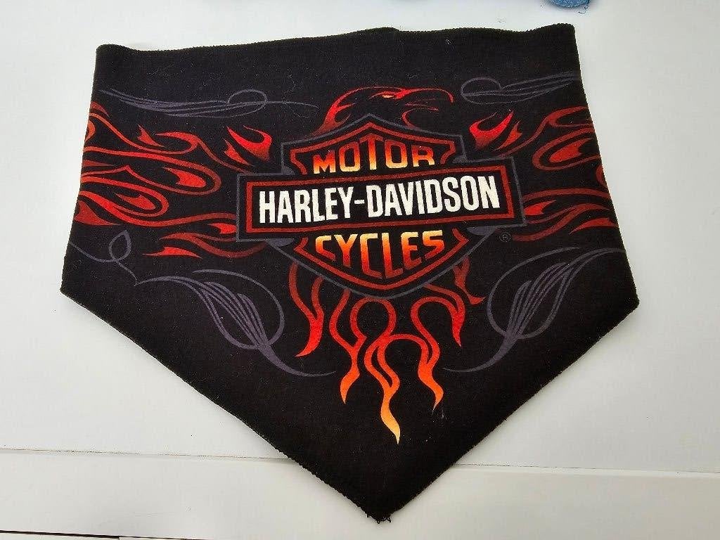 PROTEGE COU ET VISAGE HARLEY DAVIDSON POUR L'HIVER, Femmes, Harley-Davidson, Autres types, Enlèvement
