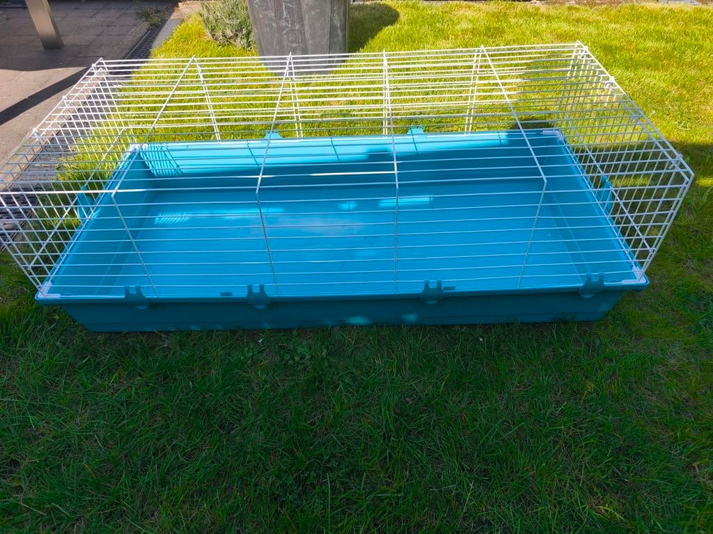 Cage rongeur, Enlèvement, Cage