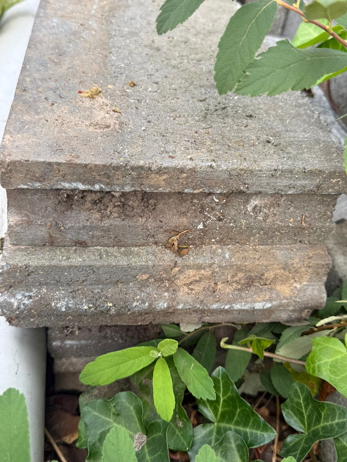 Boordstenen antraciet dikte 6cm , hoogte 20cm , lente 100cm, Ophalen, Gebruikt, 100 tot 200 cm, Minder dan 25 cm