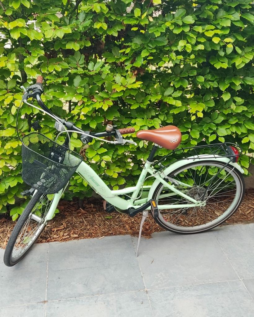Juniorfiets, Ophalen, 22 inch, Gebruikt, Versnellingen