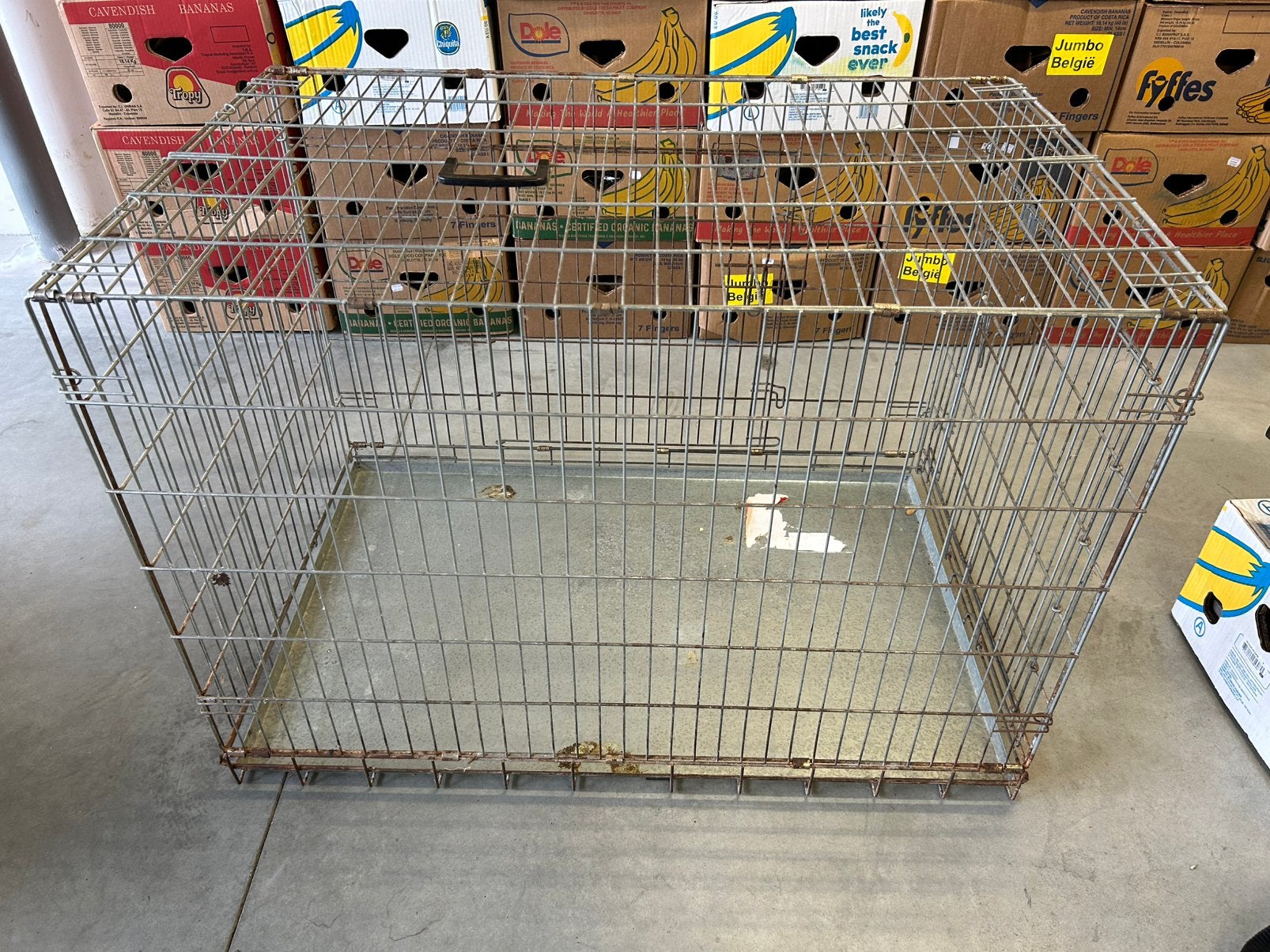 Hondenbench, Animaux & Accessoires, Maisons pour chiens, 65 à 100 cm, Enlèvement, Utilisé, Chenil chien