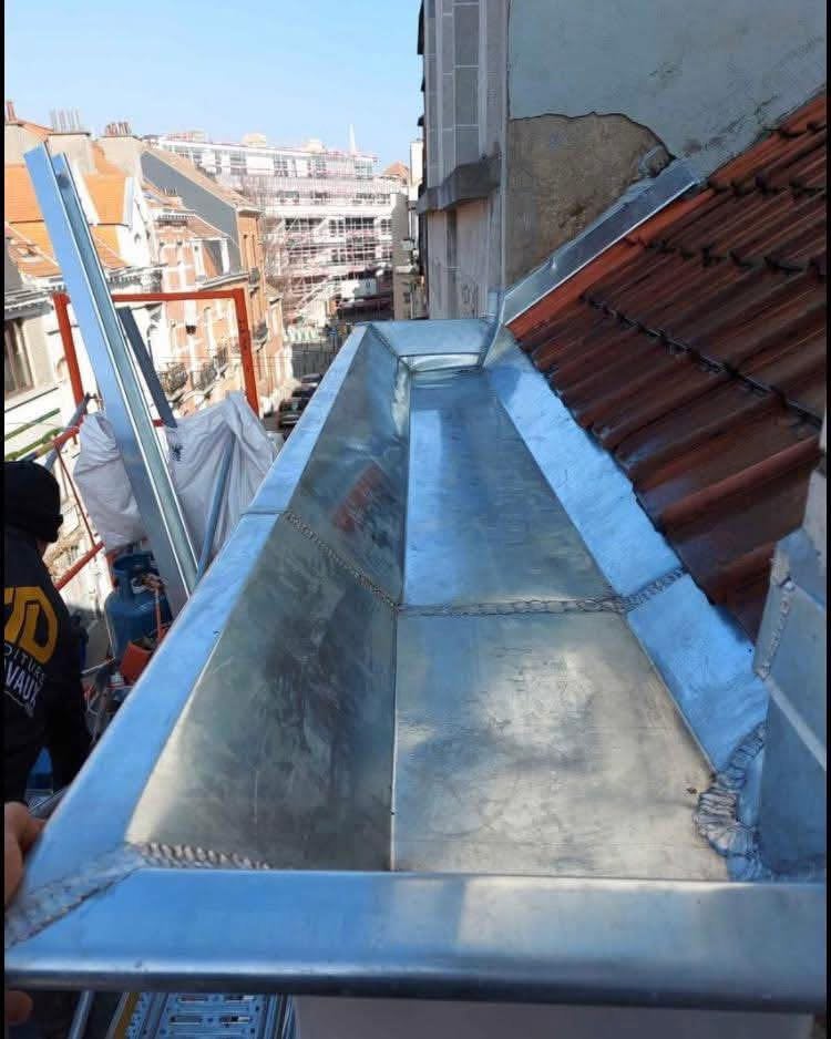 0465657239types de toitures en zinc, Enlèvement ou Envoi, Comme neuf