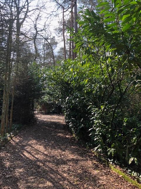 Perceel bouwgrond te koop Schilde, Immo, Verkoop zonder makelaar, 1500 m² of meer