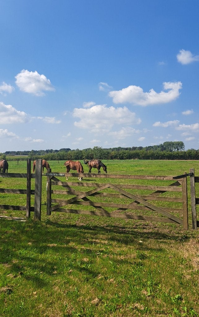 2 boxen vrij op privestal, Stalling