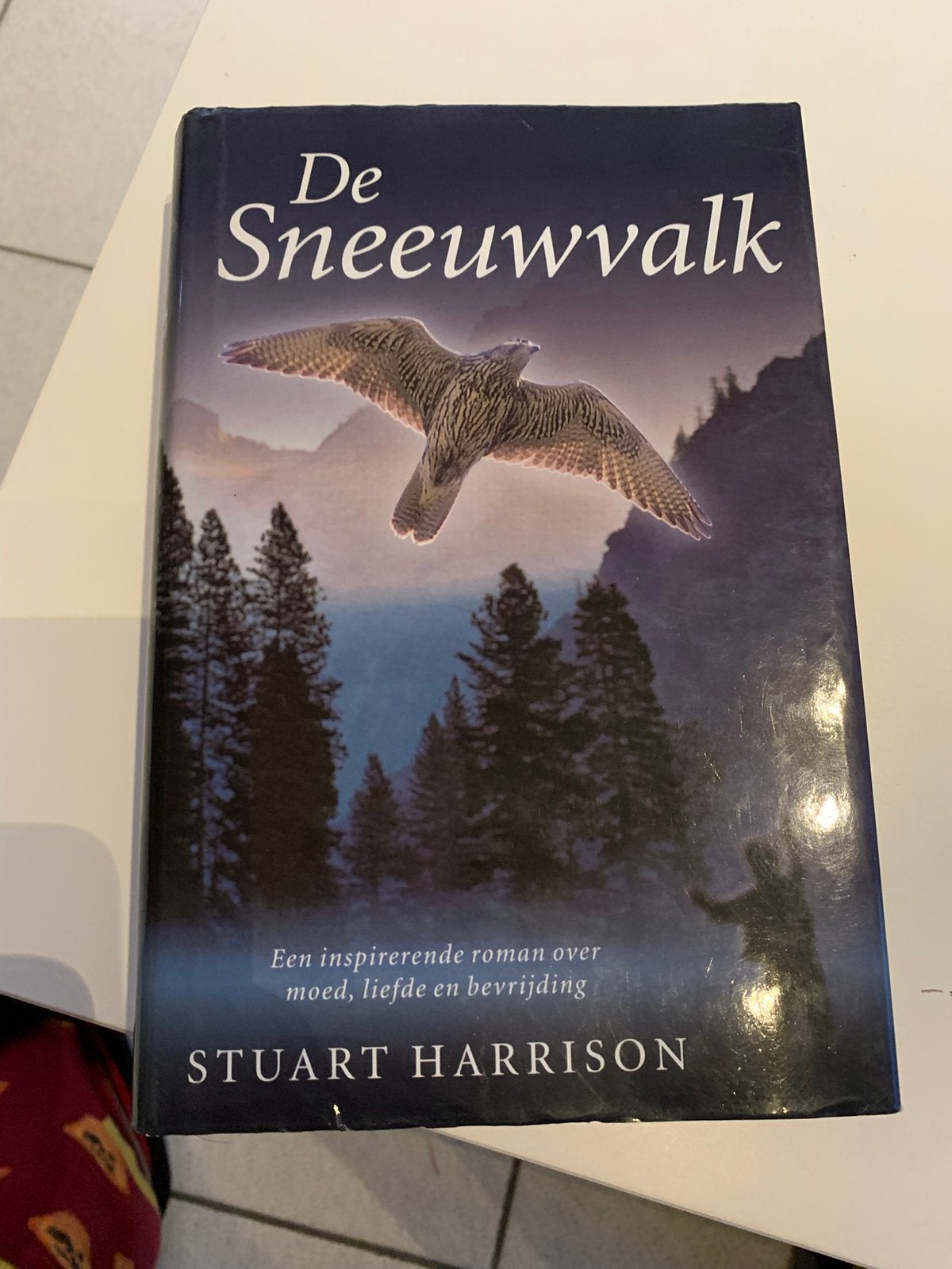 Stuart Harrison - De sneeuwvalk, Livres, Fantastique, Enlèvement ou Envoi, Comme neuf