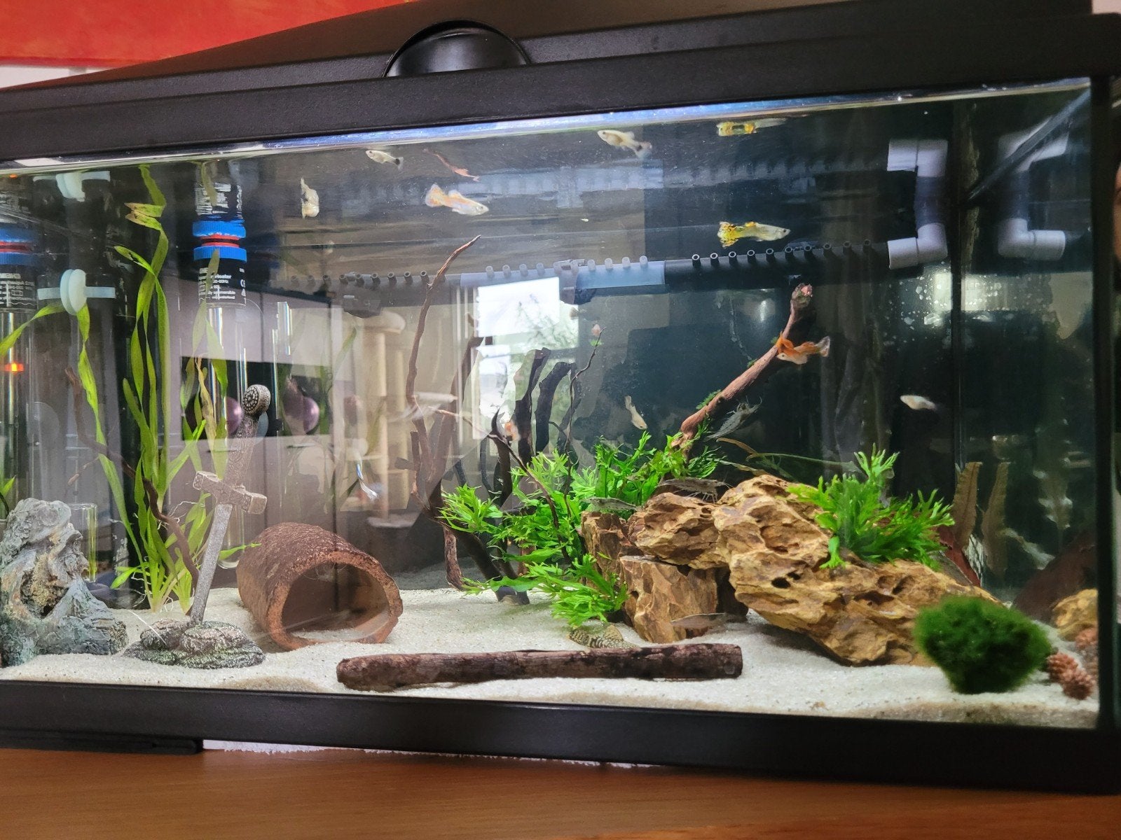 Aquarium te koop, Dieren en Toebehoren, Ophalen