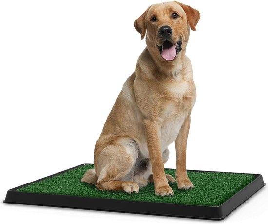 hondentoilet Pet loo indoor, LARGE 83X83 CM - groot!, Ophalen