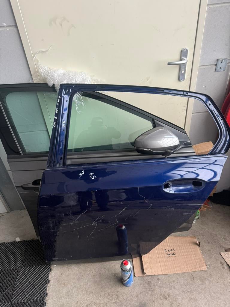 Porte arrière gauche de la Volkswagen Golf 8, Enlèvement, Arrière, Volkswagen, Porte